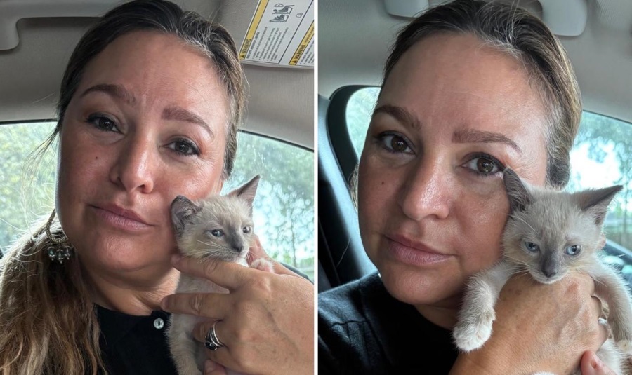 Lydia Heberle adota gatinha nos EUA e entra para o time de artistas “gateiras”