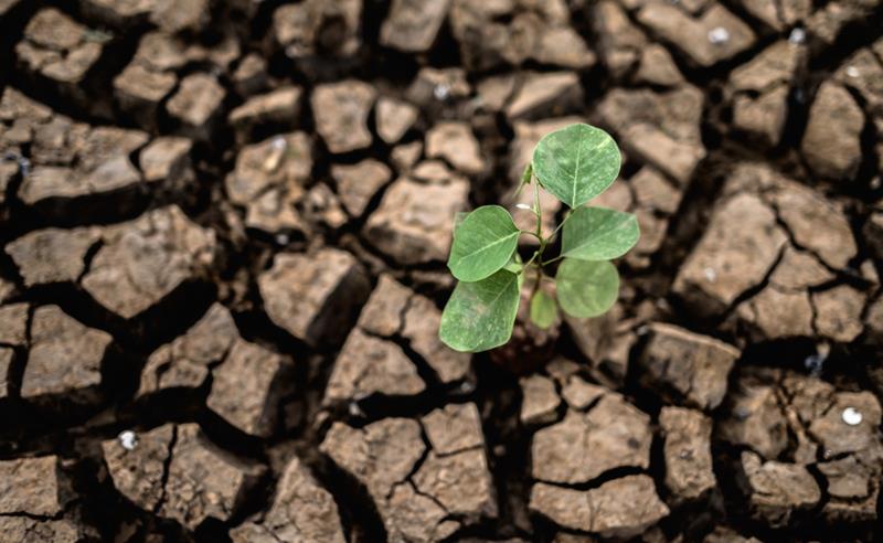 Conscientização sobre as Mudanças Climáticas deve estar alinhada com vontade política e destinação de recursos