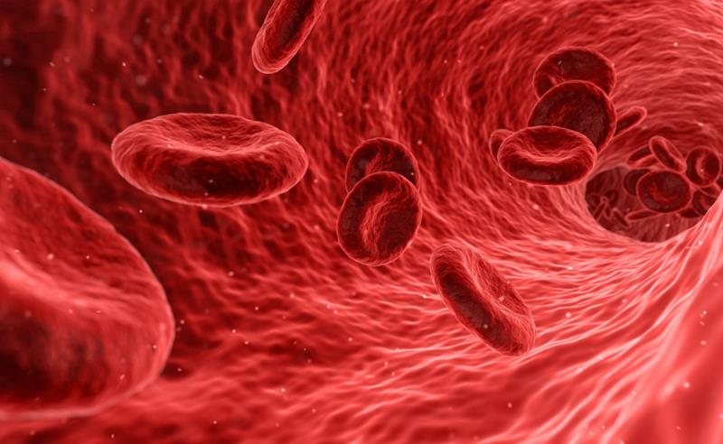 Incidência entre os homens com leucemia é 20% maior do que entre as mulheres