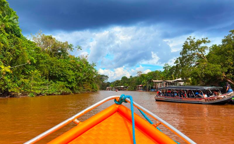 Mapeamento inédito aponta avanço da bioeconomia na Amazônia e destaca desafios para ampliar impacto