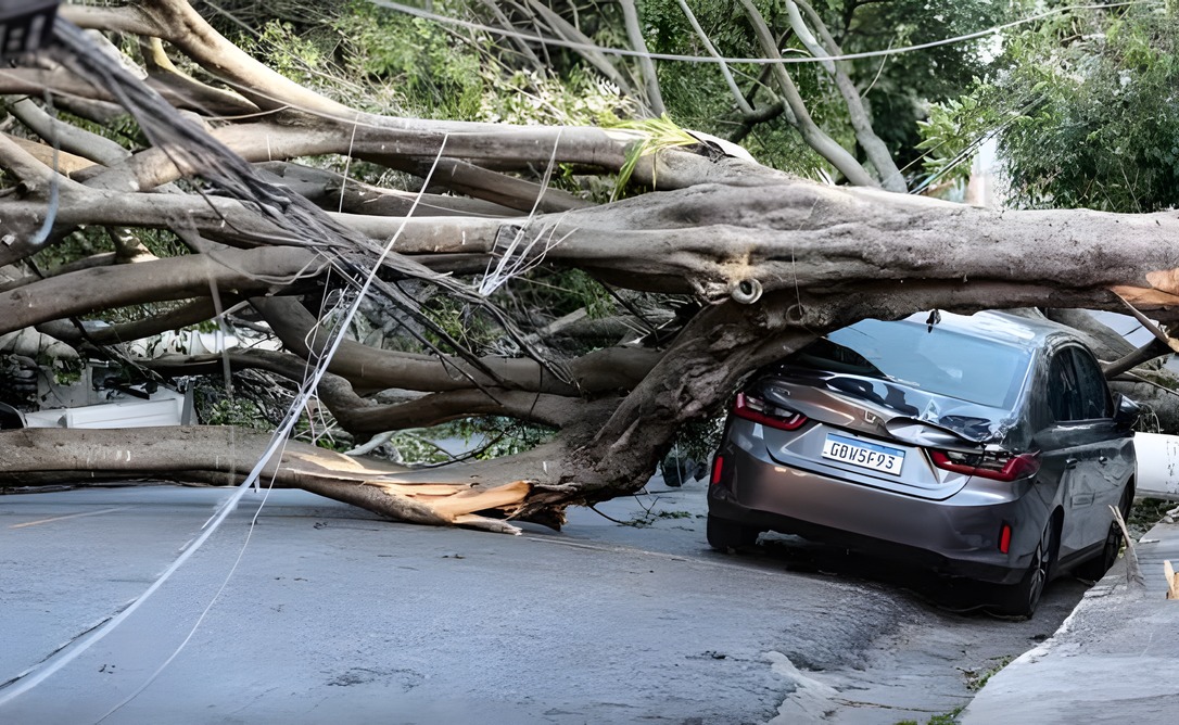 Chuvas devem gerar R$ 38,5 mi em indenizações de veículos em Minas